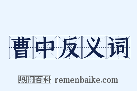 曹中反义词是什么意思的图片